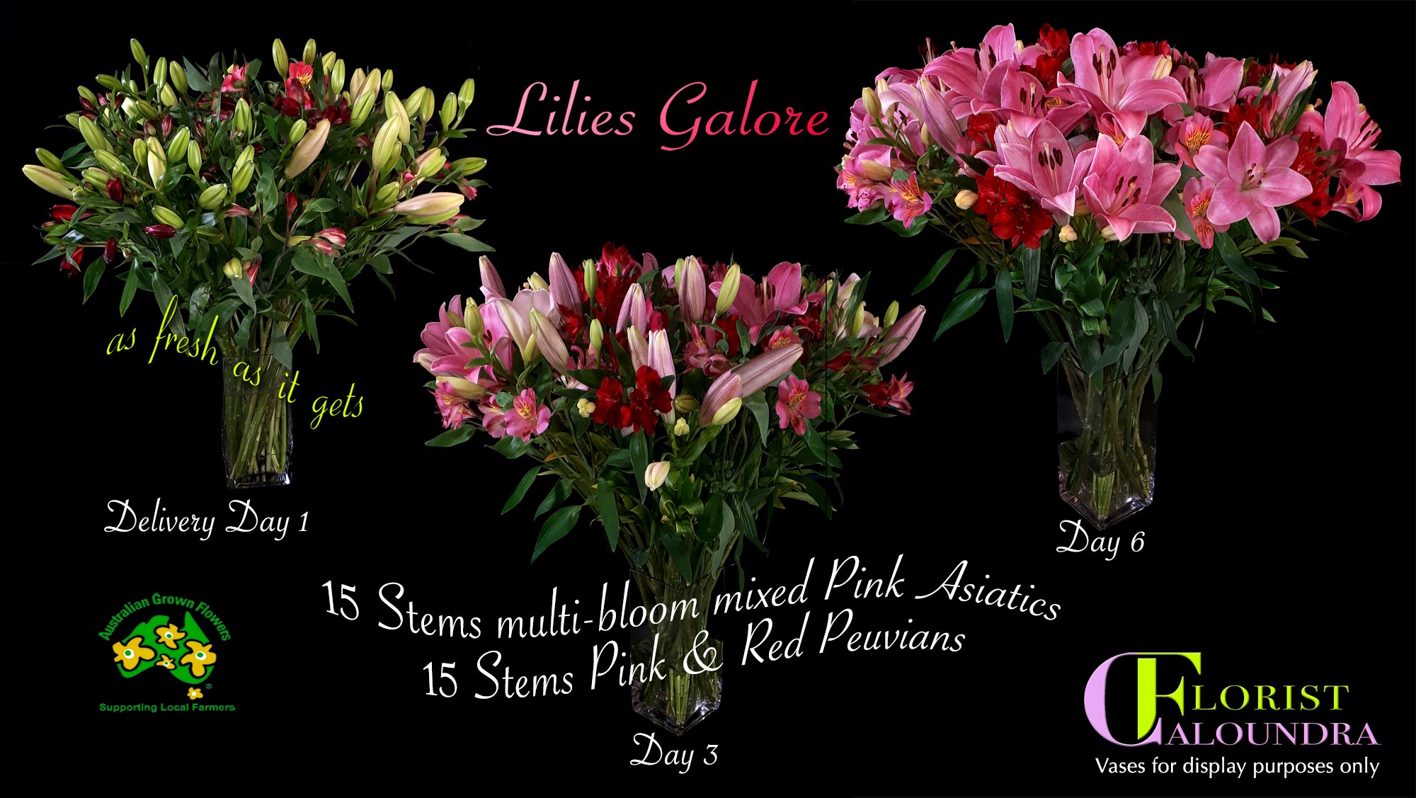 CALOUNDRA FLORIST BULK ASIATIC LILIES