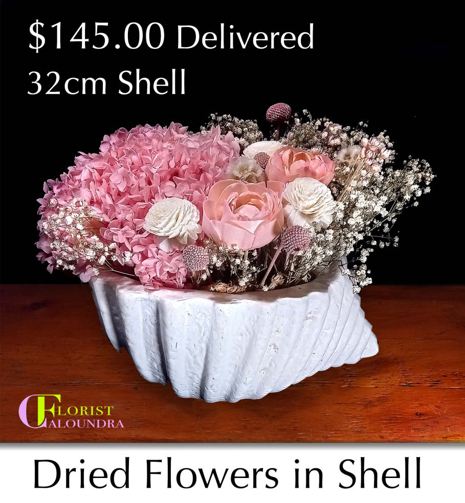 DRIED FLOWERS IN SHELL