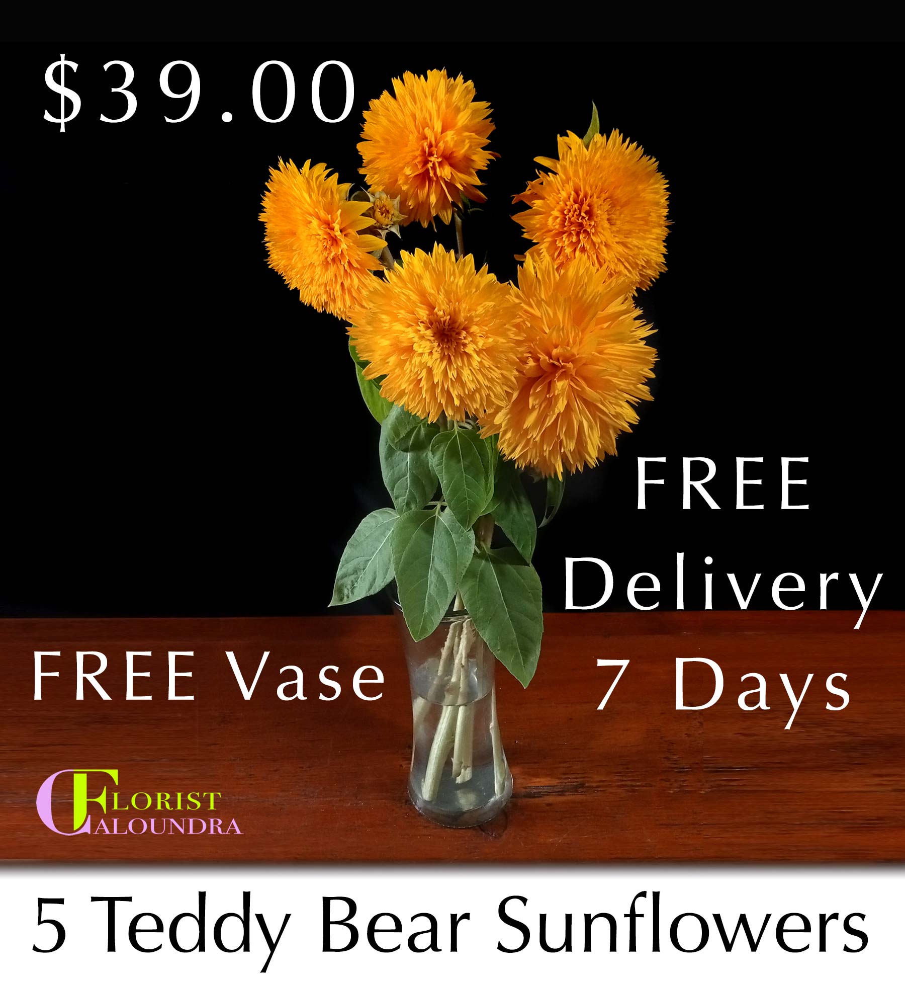TEDDY BEAR SUNFLOWERS